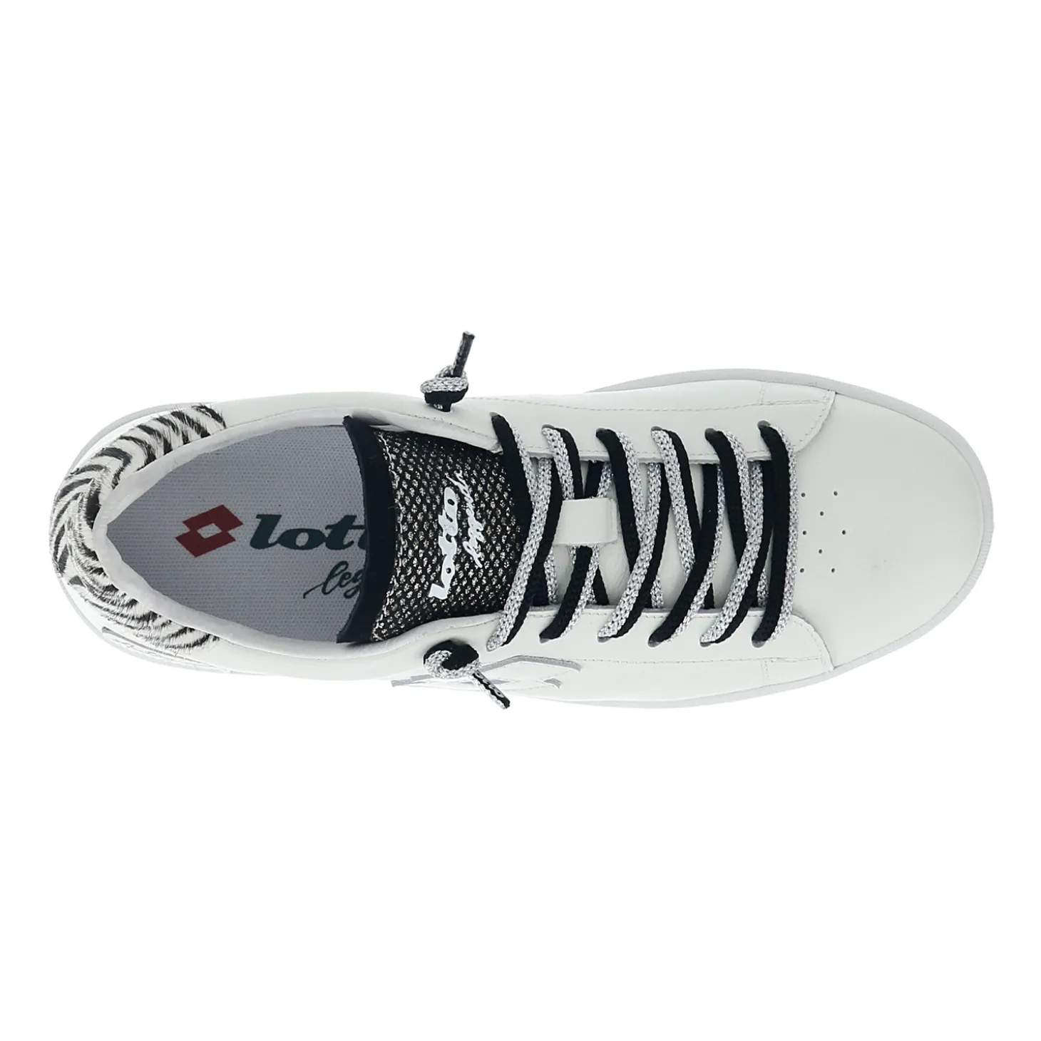 Lotto Autograph Zebra W | Damen Leggenda