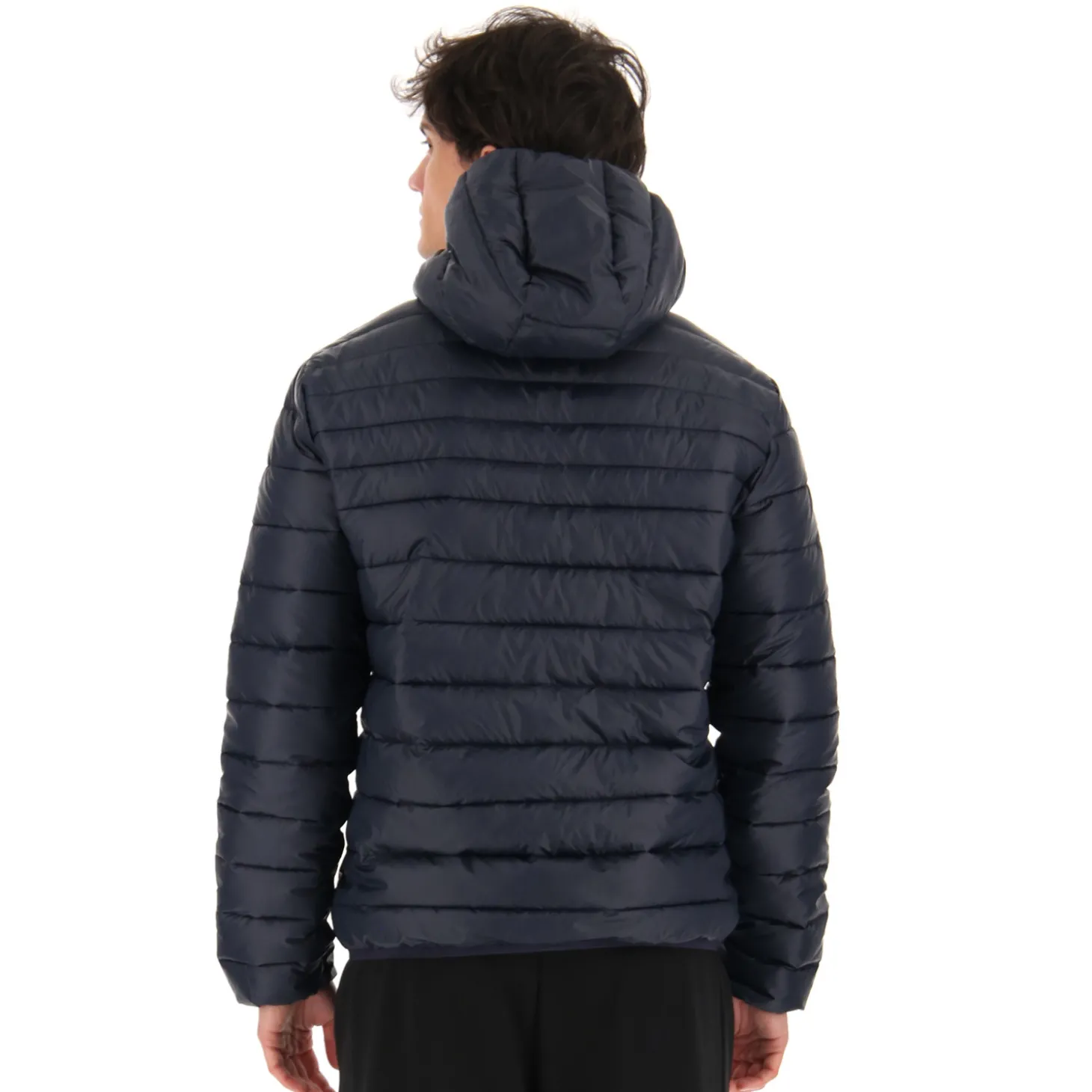 Lotto Bomber Cortina Iii Hd Pad Pl | Herren Jacken Und Anoraks
