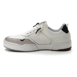 Lotto Hoop Stars Rub | Herren Leggenda